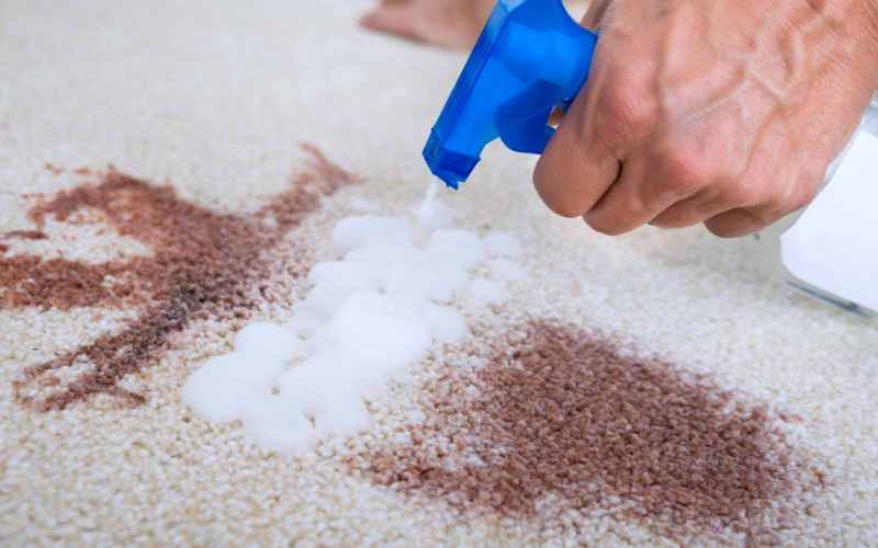 House Cleaning & Stain Removal Tips