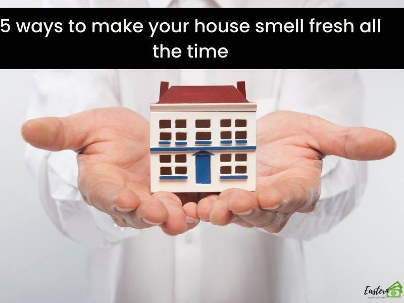 5 ways to make your house smell fresh all the time