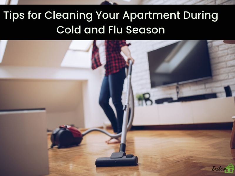 Tips for Cleaning Your Apartment During Cold and Flu Season